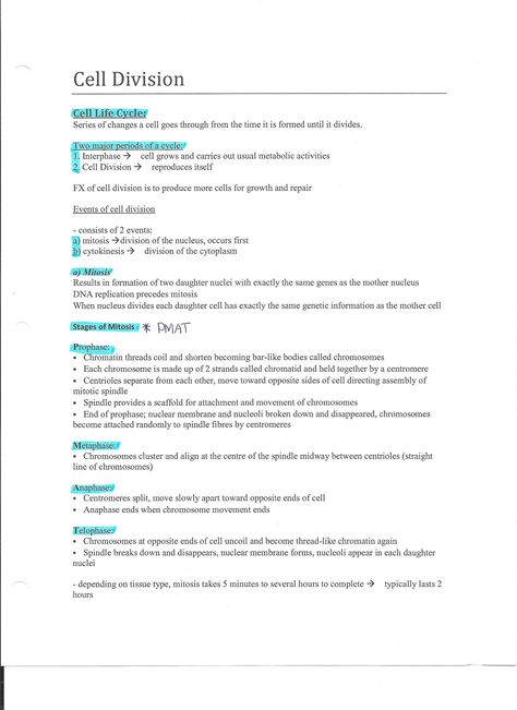 Cell Division Notes Aesthetic, Cell Cycle And Cell Division Notes, Cell Division Notes, Nursing School Studying Cheat Sheets, Hesi A2, Anatomy Notes, Medical Terminology Study, Gcse Biology, Bio Notes