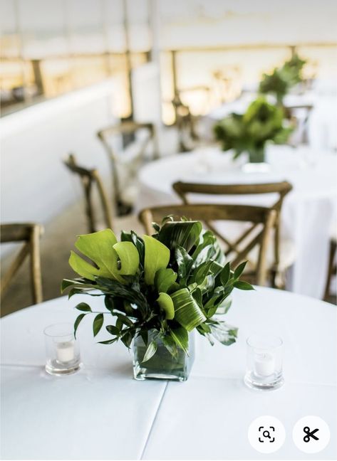 Tropical Greenery Centerpieces, Floral Arrangements With Monstera Leaves, Tropical Greens Centerpiece, Monstera Leaf In Vase Tropical Centerpieces, Green White Tropical Wedding Flowers Tall Centerpieces, Green And White Tropical Floral Arrangements, White Orchids Wedding, Orchids Wedding, Modern Cocktail Tables