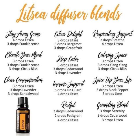 Litsea diffuser blends Litsea Diffuser Blend, Terra Essential Oils, Doterra Blends, Doterra Diffuser, Doterra Diffuser Blends, Doterra Oil, Essential Oil Combinations, Essential Oils Collection, Doterra Essential Oils Recipes