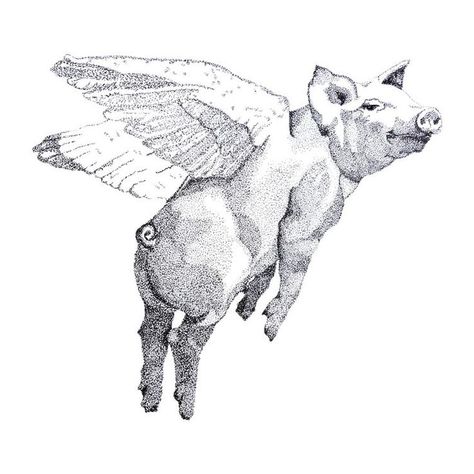 Flying Pig Drawing, Pig Tattoo, Line Tattoo Ideas, Pig Pen, Pig Drawing, Arte Peculiar, Tattoo Style Drawings, Line Tattoo, Paper Illustration