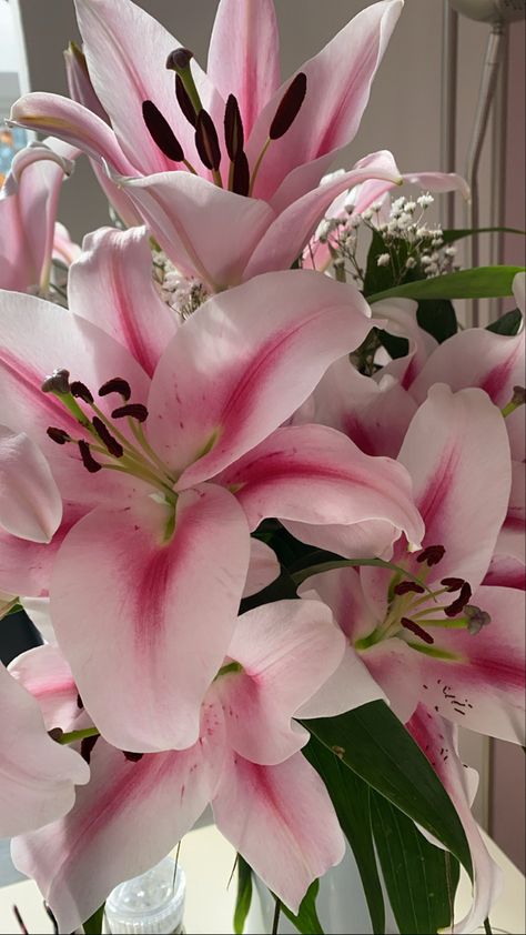 Flower Gardening Ideas, Lily Wallpaper, Lilly Flower, Boquette Flowers, Flower Gardening, Nothing But Flowers, Flower Therapy, Beautiful Bouquet Of Flowers, Pretty Plants