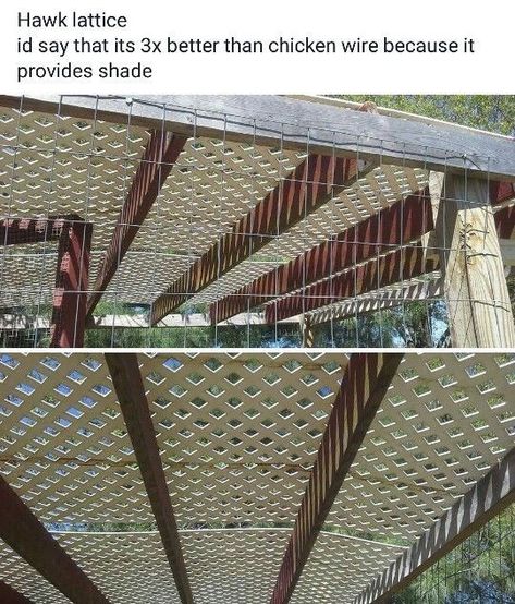 Lattice Patio, Backyard Chicken Coop Plans, Backyard Chicken Farming, Raise Chickens, Raising Backyard Chickens, Chicken Coop Designs, Coop Plans, Chicken Garden, Diy Chicken