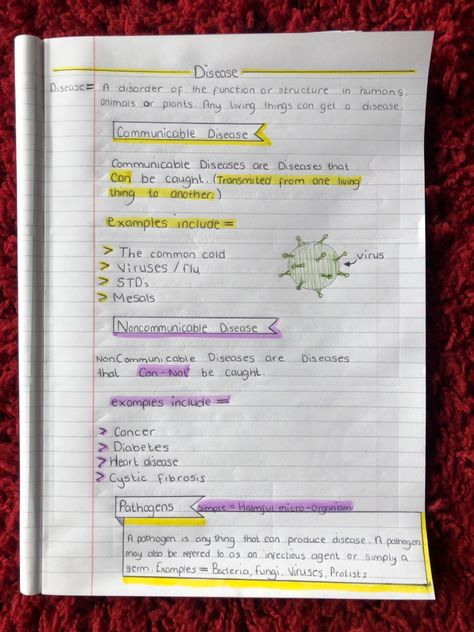 (communicable and non-communicable diseases and pathogens) Get those grades queens, I believe in you 🦋❤️ Infection And Response Revision, Communicable Diseases Notes, Pathogens Notes, Health And Social Care Revision, Non Communicable Diseases, Gcse Revision Notes, Disease Notes, Notes Snap, School Revision