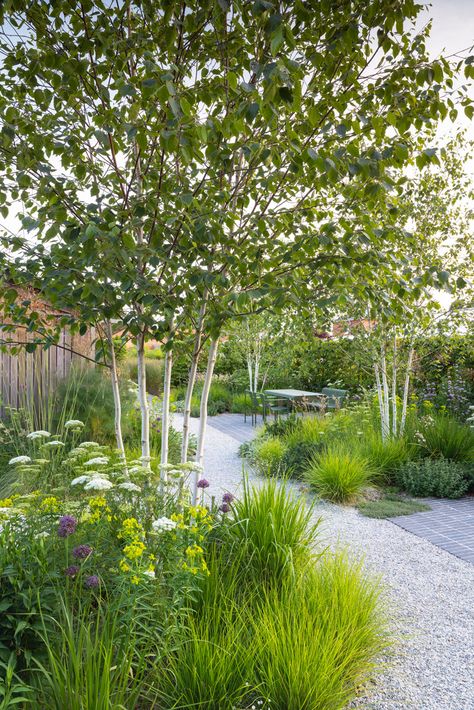 Gravel Garden Design, English Landscape Garden, Clay Pavers, Garden Site, Back Garden Design, Gravel Garden, Walled Garden, Family Garden, Contemporary Garden