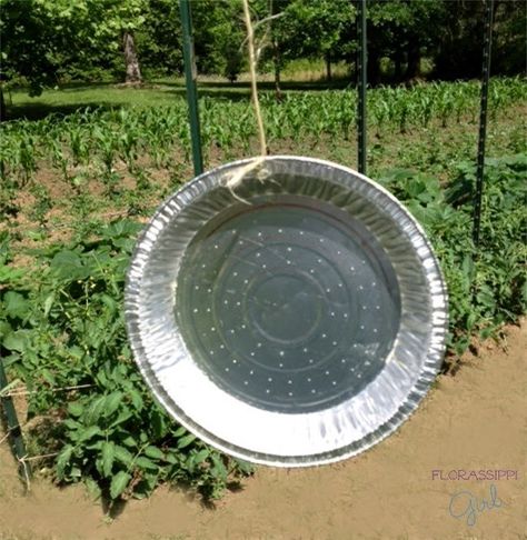 Deer Free Garden, Pie Pans In The Garden, Keeping Deer Out Of Garden, How To Keep Critters Out Of Garden, Keep Critters Out Of Garden, Keep Animals Out Of Garden Vegetables, Keeping Birds Out Of Garden, Deer Resistant Vegetable Garden, How To Keep Deer Out Of Garden