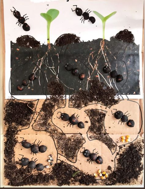 Ant Habitat Diorama, Ant Preschool Craft, Nature Crafts Kids, Ant Crafts, Insects Preschool, Forest School Activities, Homeschool Preschool Activities, Nature School, Preschool Learning Activities