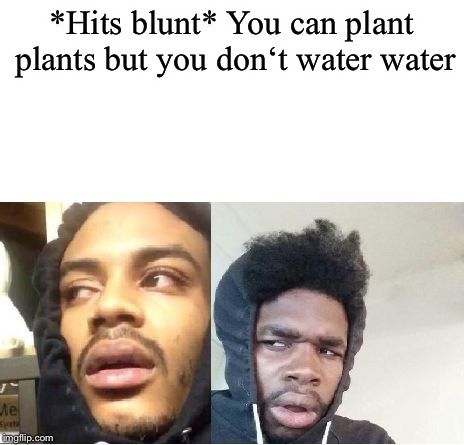 Ya u can water water but it doesn’t do anythin Uno Memes, Confusing Questions, Funny Deep Thoughts, High Jokes, Black Memes, Funny Thoughts, Tv Shows Online, Funny Relatable Quotes, Watch Movies