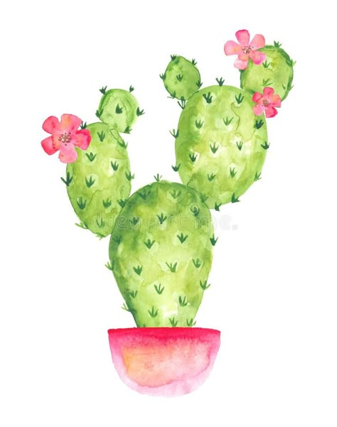 Pink Flowers Drawing, Cactus Flower Painting, Pot With Flowers, Pink Pot, Cactus Paintings, Cactus Drawing, Stone Shapes, Blooming Cactus, Pear Cactus