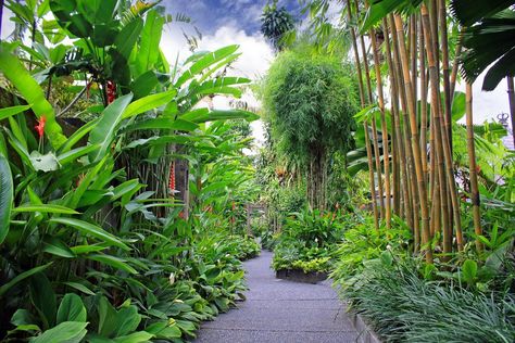 Private Villa Garden Tropical Path, Tropical Gardening, Tropical Landscapes, Villas In Bali, Bali Garden, Bali Hotel, Balinese Garden, Lush Jungle, Ubud Indonesia