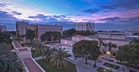 FIU Main Campus Florida International University Campus, College Prints, Miami Vibes, Colleges In Florida, Florida International University, Student Government, University Architecture, Us School, International University