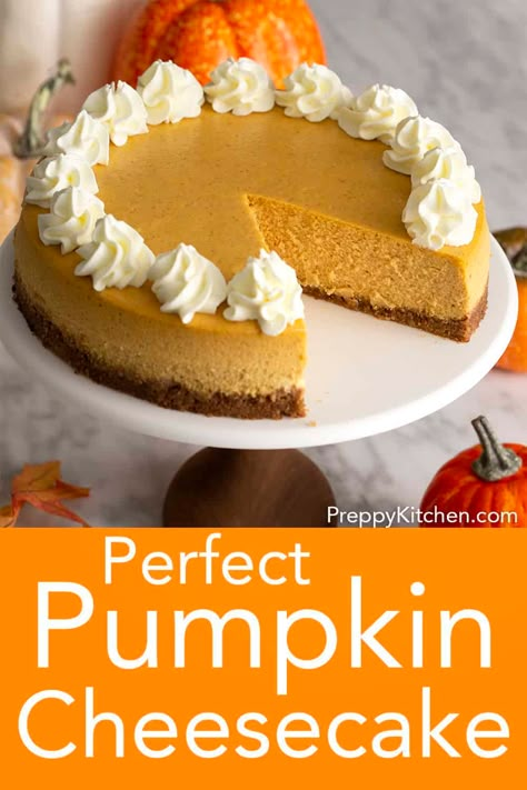 Preppy Kitchen Pumpkin Cheesecake, Pioneer Woman Pumpkin Cheesecake, Pumpkin Cheesecake With Pecan Crust, Pumpkin Cheesecake With Graham Cracker Crust, Kraft Pumpkin Cheesecake, Simple Pumpkin Cheesecake, Homemade Pumpkin Cheesecake, Pumpkin Cheesecake Baked, Pumpkin Cheesecake Recipes Easy