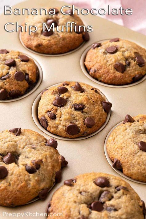 Preppy Kitchen Banana Muffins, Banana Muffins With Sour Cream, Banana Muffins With Chocolate Chips, Chocolate Chip Banana Bread Muffins, Banana Choc Chip Muffins, Chocolate Chip Muffins Recipe, Chocolate Chip Banana Muffins, Dairy Free Muffins, Choc Chip Muffins