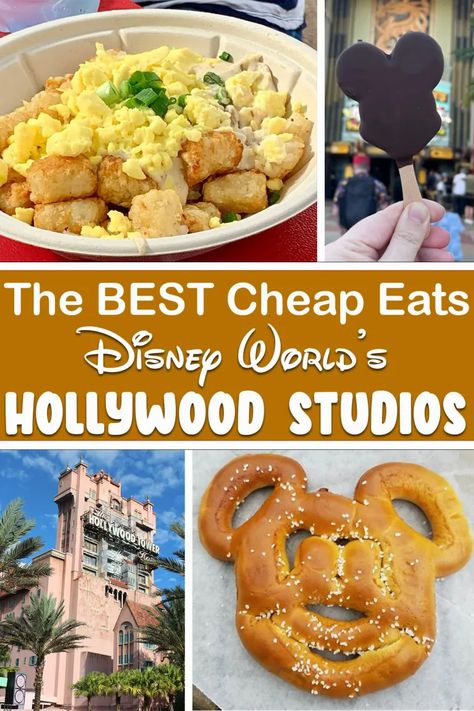 Disney Hollywood Studios Food, Best Food At Hollywood Studios, Hollywood Studios Snacks, Hollywood Studios Food, Avatar Flight Of Passage, Disney October, Slinky Dog Dash, 2024 Planning, Rock N Roller Coaster