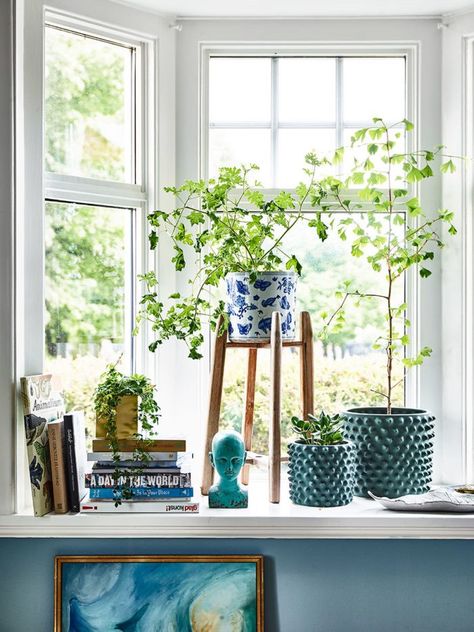 Windowsill with plants and books...and essential item for any vignette...read more on www.in-form-design.com Window Ledge Decor, Bay Window Decor, Ledge Decor, Window Sill Decor, Swedish House, Room With Plants, Elle Decor, Bay Window, Window Sill