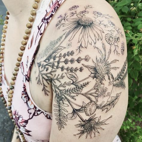 Bee Balm Tattoo, Yarrow Flower Tattoo, Echinacea Tattoo, Wrapping Tattoo, Pine Tattoo, Yarrow Flower, Fern Tattoo, Dandelion Tattoo, Bee Balm