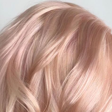 Champagne rose pink blonde hair color by Aveda Artist Haley Pirkle. Rose Champagne Hair, Pink Toner For Blonde Hair, Champagne Blonde Hair Rose Gold, Pink Blonde Hair Rose Gold, Light Rose Gold Hair Blonde, Pink Champagne Hair Color, Light Pink Blonde Hair, Pinky Blonde, Rose Blonde Hair