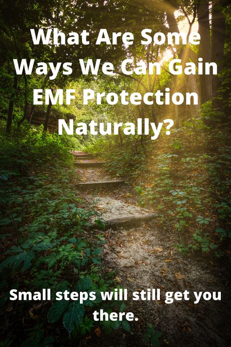 What are some ways we can gain EMF protection naturally? Are there any habits we can pick up that will help us reduce our EMF exposure? #emf #emfprotection #emfradiation #naturalemfprotection Plants That Absorb Emf, Diy Emf Protection, Emf Protection, Emf Protection Crystals, Prep For Emp, Emf Protection With Defense Pendant, Sleeping Issues, Protect Family, Storm Shelter