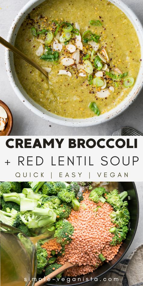 Lentil Tumeric Lemon Soup, Broccoli And Bean Soup, Creamy Vegan Lentil Tortilla Soup, Healing Lentil Soup, Lentil Broccoli Soup, Vegan Dinner Broccoli, Blended Broccoli Soup, Simple Vegan Soup, Cooked Lentil Recipes