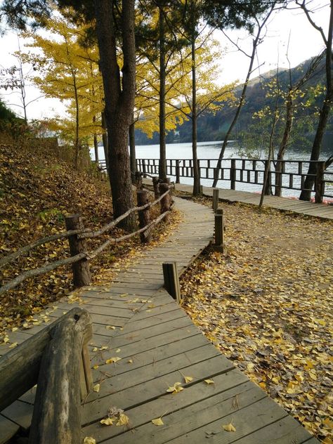 Nami Island Aesthetic, Outfits In Korea, Nami Island Autumn, Autumn Outfits In Korea, Island Aesthetic, Nami Island, Autumn Outfits, Autumn Aesthetic, Book Ideas