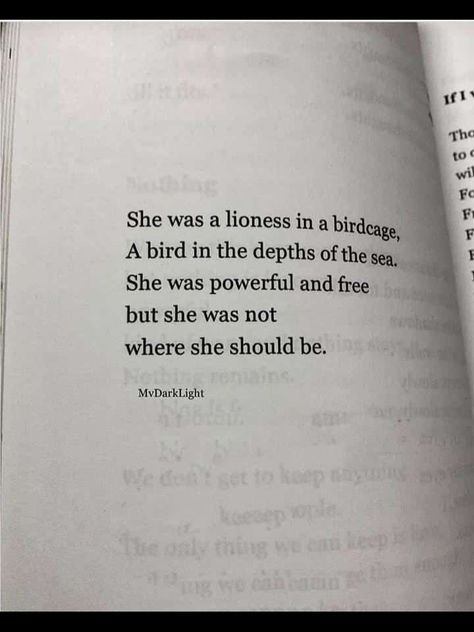 She Was A Lioness In A Birdcage, She Is A Lioness Quotes, She Was Poetry In A World That Was Still, She Is Powerful Quote, She Was Different Quotes, She Remembered Who She Was Quotes, I May Not Be The Prettiest Quotes, Free Bird Quotes, Samantha Core