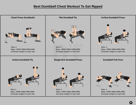 best chest workout with dumbells Chest And Tricep Workout Dumbell, Flat Dumbbell Fly, Big Chest Workout, Get Ripped Workout, Dumbbell Workout Routine, Dumbbell Back Workout, Dumbbell Chest Workout, Chest And Back Workout, Chest And Tricep Workout