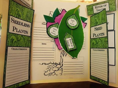 The Hermit Crabs Homeschool: Plants Lap Book Plant Lap Book, Lap Books, Plant Activities, Lap Book, Hermit Crabs, Plant Tissue, The Hermit, About Plants, Classical Conversations