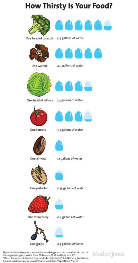 Hydroponics Diy, Vegetable Garden Planning, Hydroponic Growing, Kids Garden, Aquaponics System, Water Cycle, Home Vegetable Garden, Hydroponic Gardening, Vegetable Garden Design