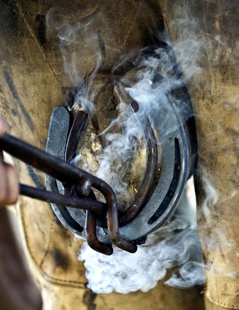 Help Your Horse Handle Hot-Shoeing. A reader asks: How do I ease my horse's fear of hot-shoeing? Horse Shoeing, City Life Photography, Hoof Care, Coins For Sale, Horse Care, Photography Wallpaper, Hot Shoes, Country Life, Horses