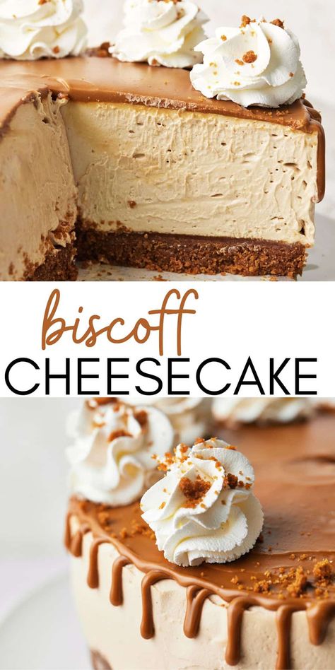 Biscoff Dessert, Unique Cheesecake, Cookie Butter Cheesecake, Lotus Biscoff Cheesecake, Biscoff Recipes, No Bake Cookie, Biscoff Cheesecake, Biscoff Cookie Butter, Biscoff Spread