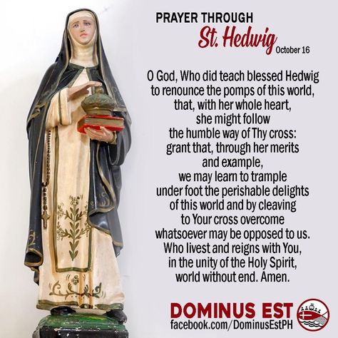 Prayer Through St. Hedwig. October 16 | Memorial of St. Hedwig Andechs #SaintOfTheDay St. Hedwig, pray for us! Saint Hedwig, Female Saints, First Sunday Of Advent, Whole Heart, Pray For Us, Eternal Life, Lord Jesus Christ, Moving Forward, Holy Spirit