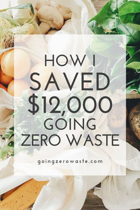 Want to know how I've saved money since going zero waste?  I don’t buy a lot of stuff anymore. I don’t buy anything that eventually winds up in the garbage; essentially I’ve stopped paying for trash. I'm sharing everything that I've stopped buying since going zero waste and how it helps me save money. #zerowaste #ecofriendlytips Zero Waste Apartment, No Waste Living, Living Apartment, Zero Waste Home, Waste Free Living, Living Sustainably, Saved Money, Zero Waste Swaps, Environmentally Friendly Living