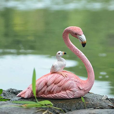 Amazon.com : EGRET Pink Flamingos Lawn Ornaments, Fairy Garden Wedding, Flamingo Party Supplies, Flamingo Animal, Garden Wedding Party, Fairy Garden Ornaments, Flamingo Decor, Beach Themed Party, Lawn Ornaments