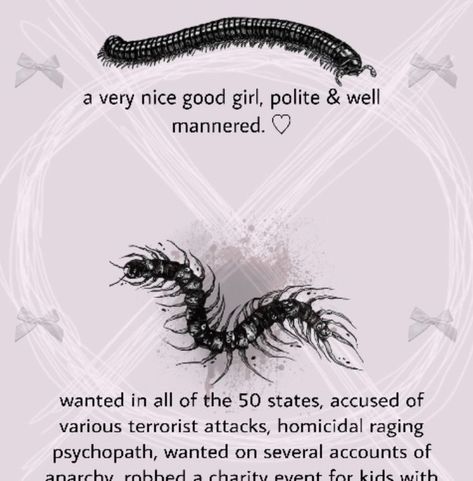 Pet Centipede, Millipede Aesthetic, Centipede Aesthetic, Centipede Art, Bug Memes, Millipedes, Terrifying Stories, Centipedes, Poor Things