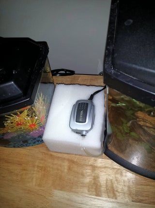 How to Quiet Your Aquarium Air Pump for Cheap : 6 Steps - Instructables Aquarium Pump, Aquarium Air Pump, Foam Blocks, Loud Noises, Air Pump, Solid Surface, Fish Tank, Computer, Pumps