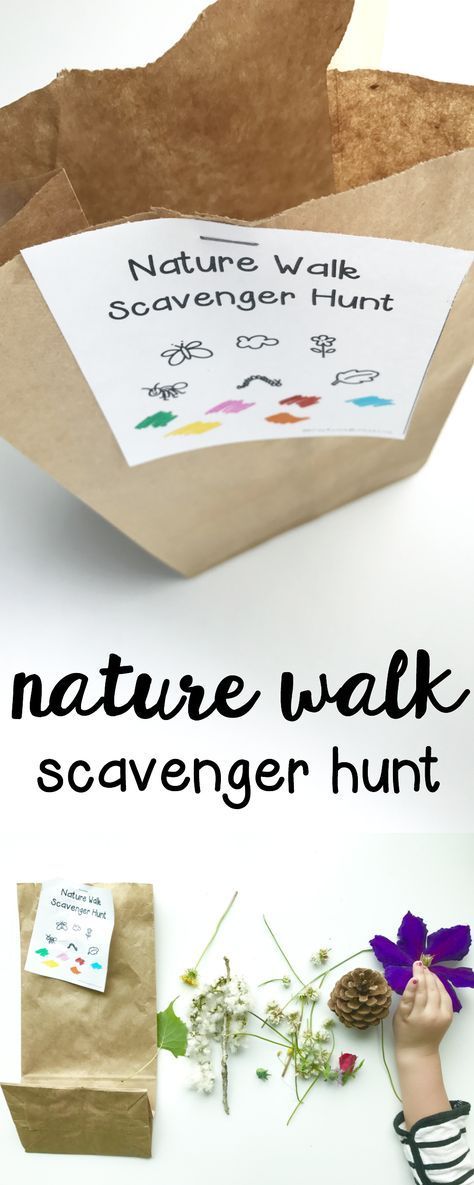 Nature Walk Scavenger Hunt: Such a fun outdoor activity for toddlers and preschoolers! Walk Scavenger Hunt, Nature Walk Scavenger Hunt, Outdoor Activities For Toddlers, Activity For Toddlers, Fun Outdoor Activities, Scavenger Hunts, Daycare Activities, Nature Walk, About Nature