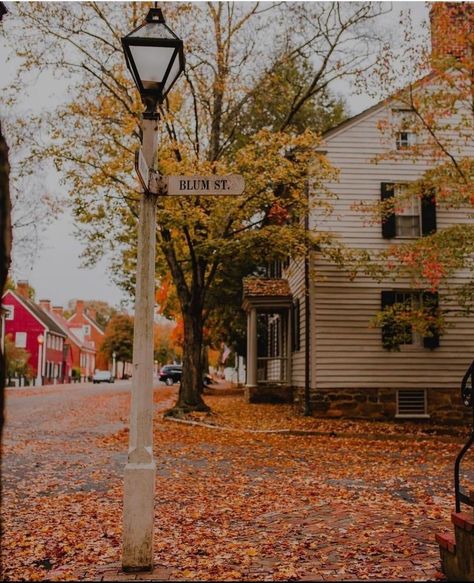 Fall Cottage, Winston Salem North Carolina, Generation Photo, All Things Fall, Boston Travel, Fall Mood Board, The Carolinas, Fall Break, Autumn Nature