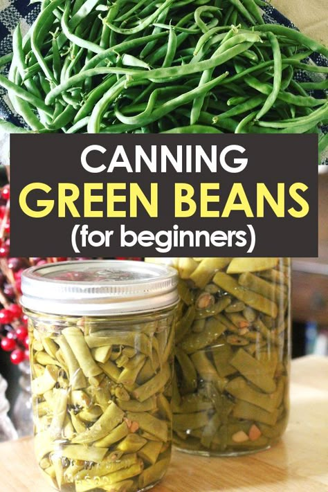 Pressure Canning Green Beans, Canning Green Beans, Canning Beans, Canning For Beginners, Garden Canning, Easy Canning, Pressure Canning Recipes, Canning 101, Recipe For Beginners