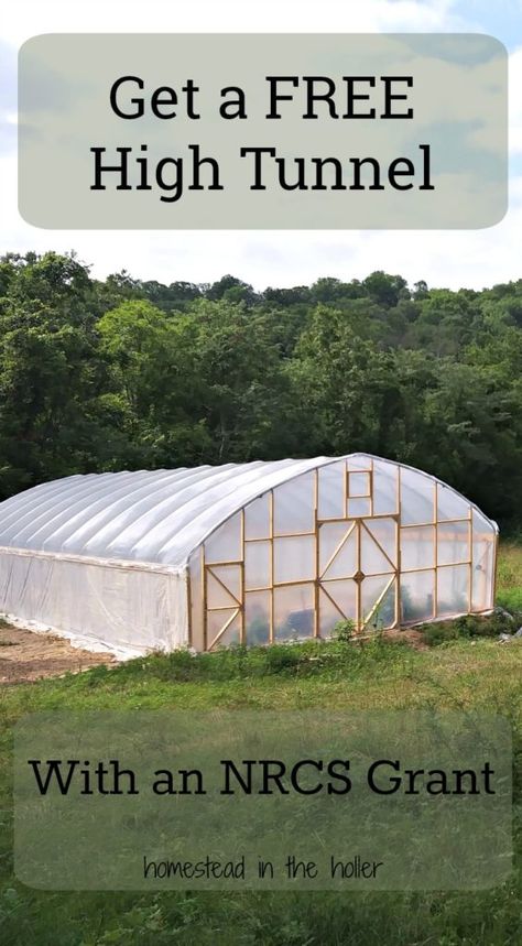 Farm Grants, Serre Diy, Homemade Greenhouse, Underground Greenhouse, High Tunnel, House Gardening, Aquaponics Greenhouse, Greenhouse Farming, Tunnel Greenhouse