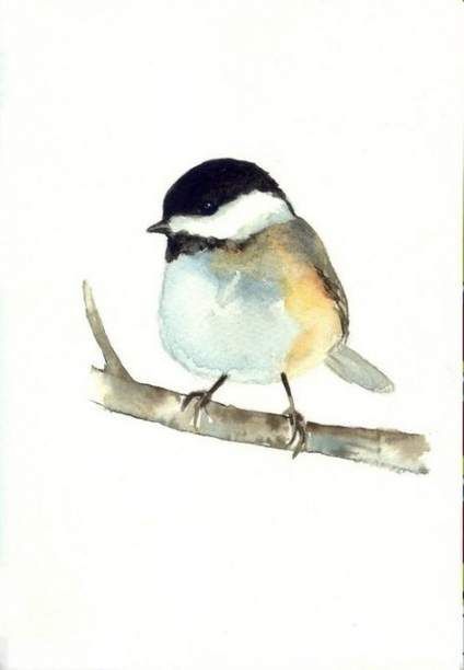 Funny Penguin, Animal Nursery Art, Chickadee Bird, Bird Watercolor Paintings, Illustration Watercolor, 수채화 그림, Watercolor Artists, Watercolor Inspiration, Bird Drawings