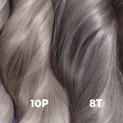 Matrix on Instagram: "GRAY SHADES ALL DAY 🩶. We have the Ps, Ts, and NVs you need to get a gray that slays! To pair with our Silver Lining service, we introduced 4 NEW Tonal Control & 5 NEW SoColor Sync shades to match the highs and lows of your client’s natural grays. Oh-so seamless silver – now easier than ever 😍. 💜 Tonal Control shades: Chrome + Collected (10T), Pearl Power (10P), Slay in Silver (8T), Mother Pearl (8P) 💜 SoColor Sync shades: 10NV, 6T, 6P, 4T, 4P Which shades are you lovin Matrix So Color Sync Formulas, Matrix Color Sync Chart, Chrome Hair Color, Silver Hair Color Formula, Matrix Hair Color, Grey Bob Hairstyles, Warm Blonde Hair, Salon Life, Matrix Hair