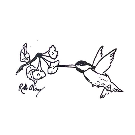 Hummingbird Honeysuckle Tattoo, Hummingbird Simple Tattoo, Hummingbird Feeder Tattoo, Hummingbird And Honeysuckle Tattoo, Hummingbird Drawing Simple, Line Hummingbird, Humming Bird Tattoos, Honeysuckle Tattoo Simple, Line Art Hummingbird Tattoo