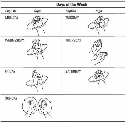 Days of the week in sign language. Sign Language Chart, Sign Language Lessons, Sign Language Phrases, Sign Language Words, British Sign Language, Asl Learning, Asl Sign Language, Sign Language Alphabet, Asl Signs