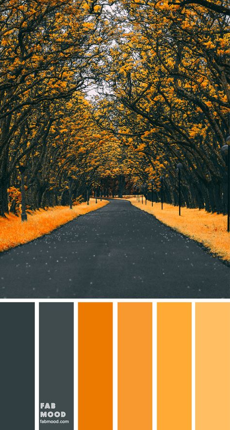 Color Inspiration : Charcoal and Yellow Mustard – Color Palette #34 1 - Fab Mood | Wedding Colours, Wedding Themes, Wedding colour palettes Mustard Color Palette, Wedding Colour Palettes, Fab Mood, Mood Wedding, Wedding Colours, Wedding Colour, Colour Inspiration, Yellow Mustard, Colour Palettes