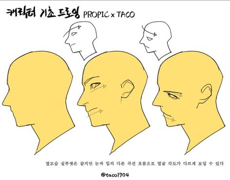 The silhouette of the side profile can remain the same while making the face look like it’s tilting on an angle. To do this, simply give the facial features a ‘curve’. Head Anatomy, Face Angles, Profile Drawing, 얼굴 드로잉, Anatomy Tutorial, Human Anatomy Drawing, 얼굴 그리기, Body Reference Drawing, Anatomy Drawing