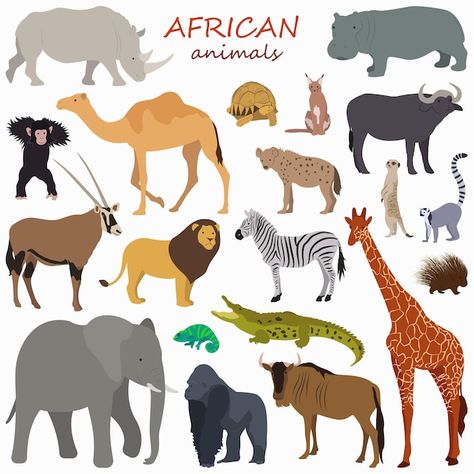 Vector set with colorful african animals... | Premium Vector #Freepik #vector #animal #animal-set #safari #hippopotamus Animals Illustration Design, Africa Animals, Hippopotamus, Cute Wild Animals, African Animals, Animal Clipart, Primary School, Minimal Fashion, Animals Wild