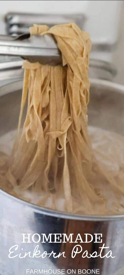 Einkorn pasta is an easy, nutritious alternative to typical wheat pasta. You simply need two ingredients and a few tools to make this delectable, fresh pasta. #farmhouseonboone #homemadepasta #einkornpasta Einkorn Pasta, Sourdough Pasta Recipe, Kamut Pasta, Tonights Dinner, Einkorn Recipes, Einkorn Flour, Wheat Pasta, Cooking Homemade, Pasta Dough