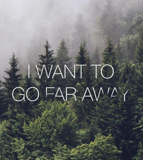 I want to go far away California Forest, Citation Nature, California Wallpaper, Rainy Afternoon, Free Nature, Iphone 6 Wallpaper, Foggy Forest, Quote Iphone, Wallpaper Iphone Quotes