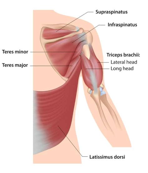 Top 8 Teres Major & Teres Minor Exercises Torn Rotator Cuff Symptoms, Torn Rotator Cuff, Infraspinatus Muscle, Teres Major, Rotator Cuff Pain, Shoulder Range Of Motion, Forward Head Posture Exercises, Rotator Cuff Exercises, Rotator Cuff Injury