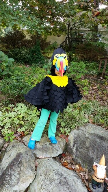 Diy Toucan Costume, Toucan Costume, Bird Costume Kids, Kindergarten Graduation Cake, Bird Costumes, Book Parade, Keel Billed Toucan, Bird Costume, Exotic Birds