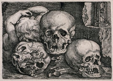 Three skulls are piled up to form a pyramidal composition on which a dead child partly lies. Heliogravure after S. Beham, 1529. | Wellcome Collection Pile Of Skulls, Grand Palais, Skull And Bones, Memento Mori, Skull Art, Vintage Wall, Vintage Wall Art, Metropolitan Museum Of Art, Metropolitan Museum